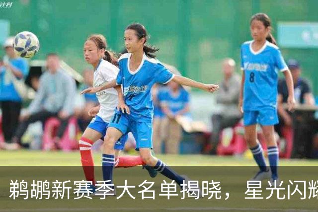 鹈鹕新赛季大名单揭晓，星光闪耀，阵容齐刷刷！